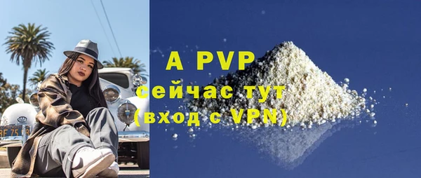 прущие грибы Богородск