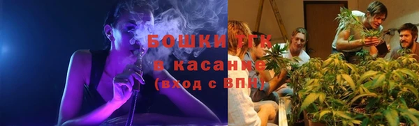 прущие грибы Богородск