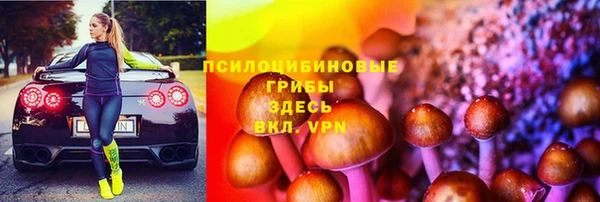 прущие грибы Богородск