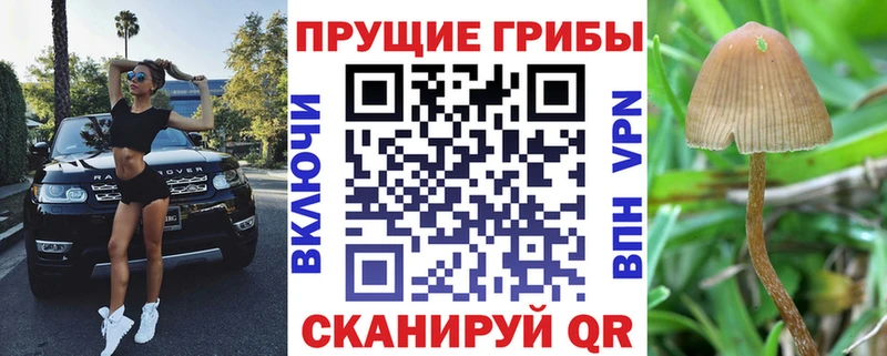 магазин продажи наркотиков  hydra ссылки  Псилоцибиновые грибы мухоморы  Западная Двина 